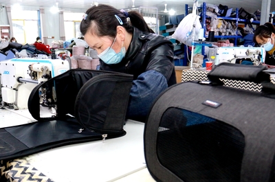 安徽太湖 能人回村添活力，箱包加工促振興